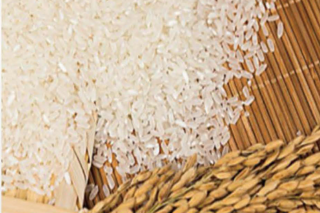 黑(hēi)龍江地(dì)産大(dà)米